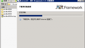 IIS6.0+FastCGI1.5+PHP 5.3.6+.NET3.5
