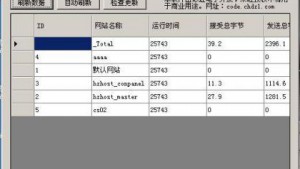 彩虹IIS流量监控助手发布(完全开源)